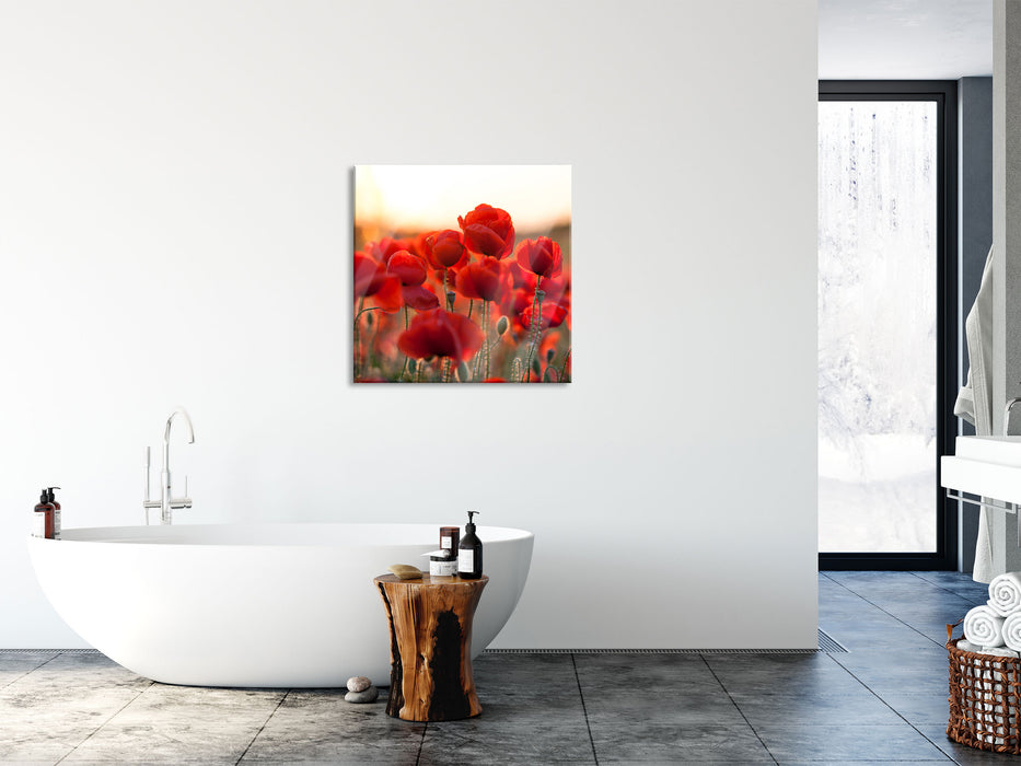 Feuriger Mohn, Glasbild Quadratisch