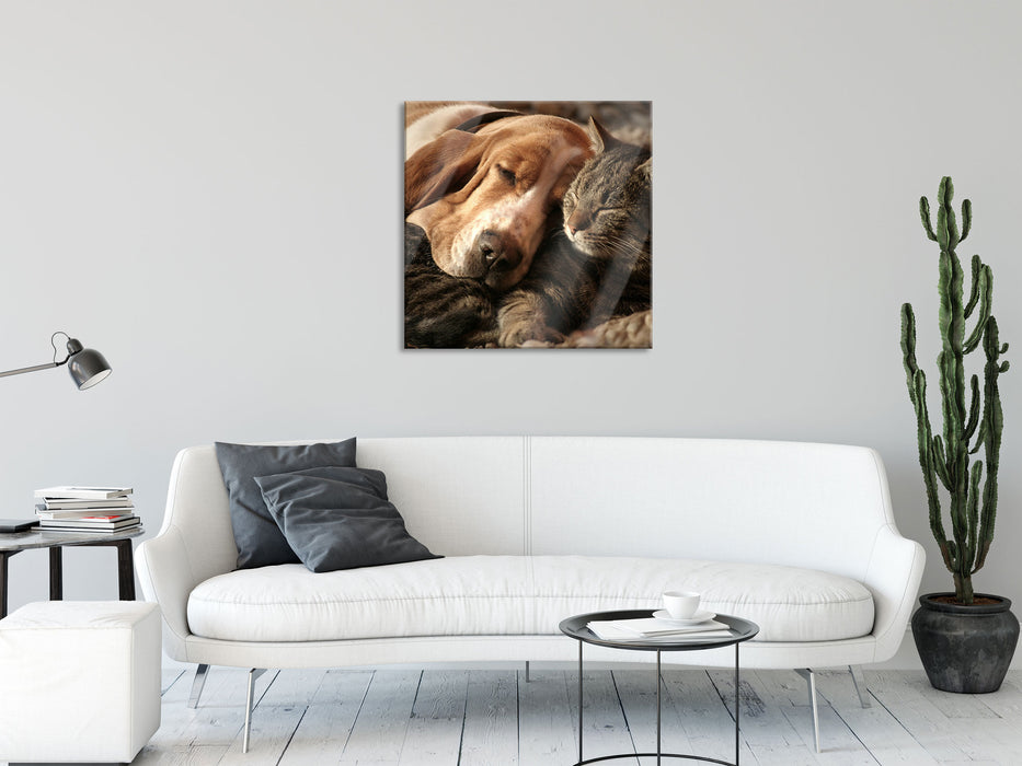 Katze und Hund kuschelnd, Glasbild Quadratisch