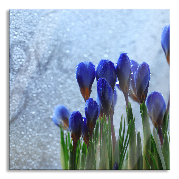 Frühlingsblumen Tropfen, Glasbild Quadratisch