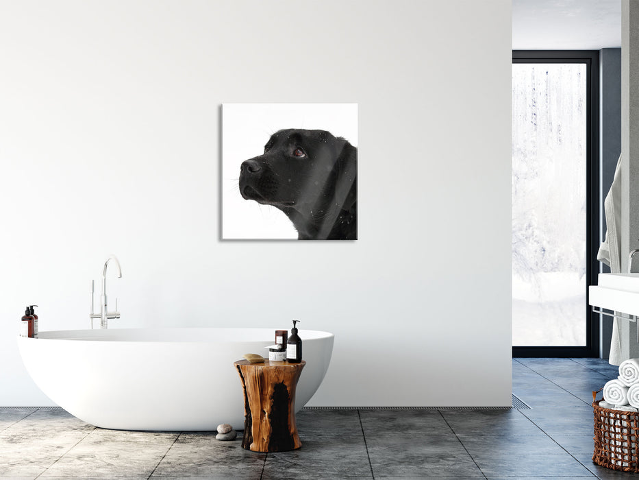 Schwarzer Labrador im Schnee, Glasbild Quadratisch