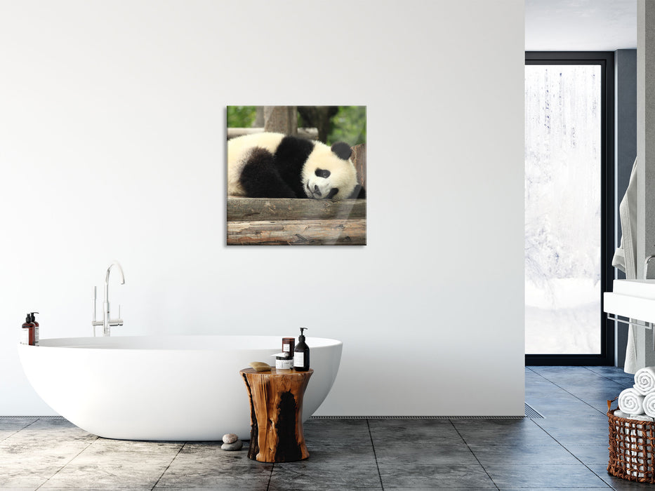 süßer kleiner Pandabär, Glasbild Quadratisch