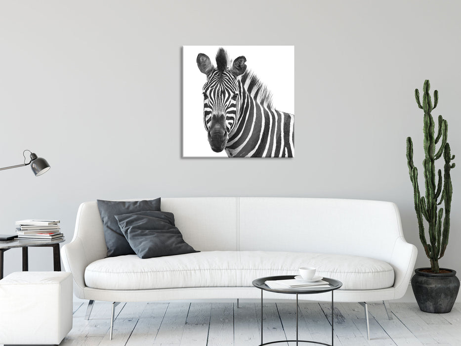 Zebra im Portrait, Glasbild Quadratisch