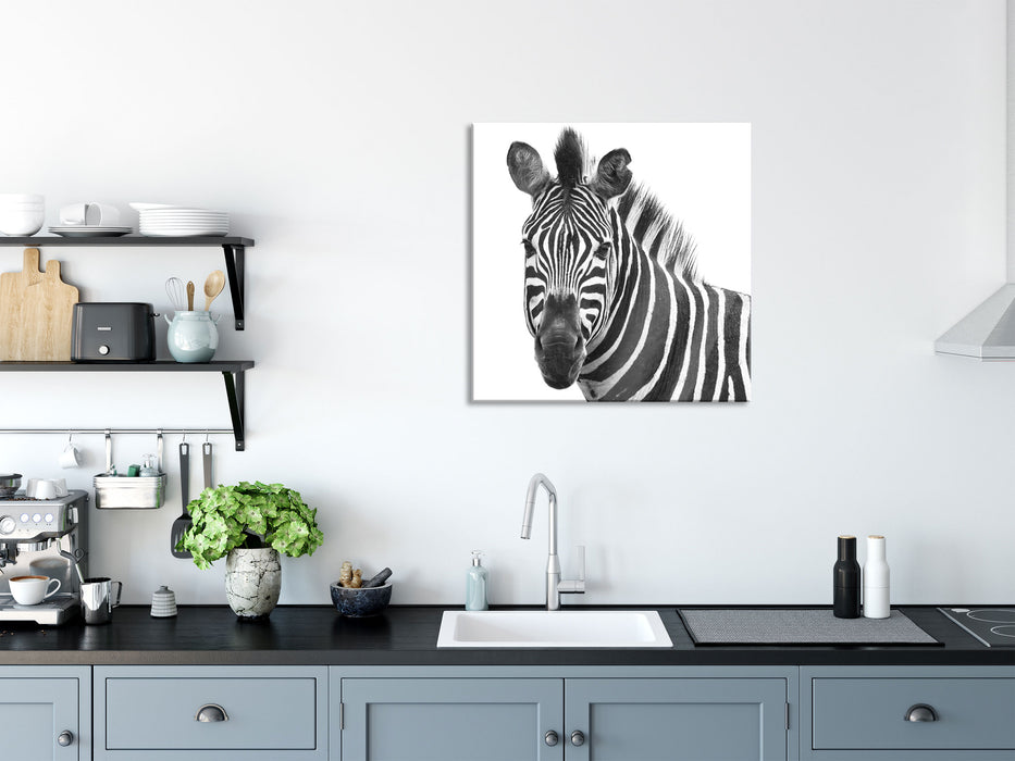 Zebra im Portrait, Glasbild Quadratisch