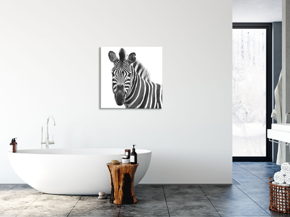 Zebra im Portrait, Glasbild Quadratisch