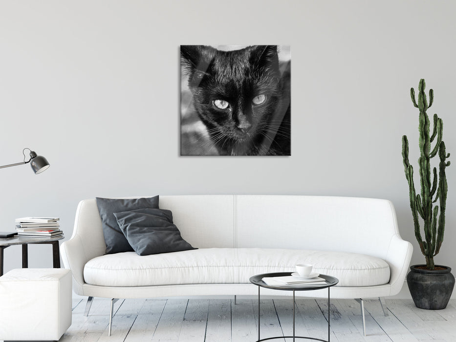 schwarze Katze, Glasbild Quadratisch