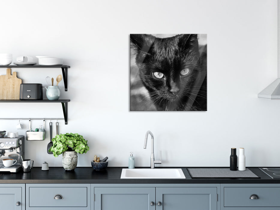 schwarze Katze, Glasbild Quadratisch