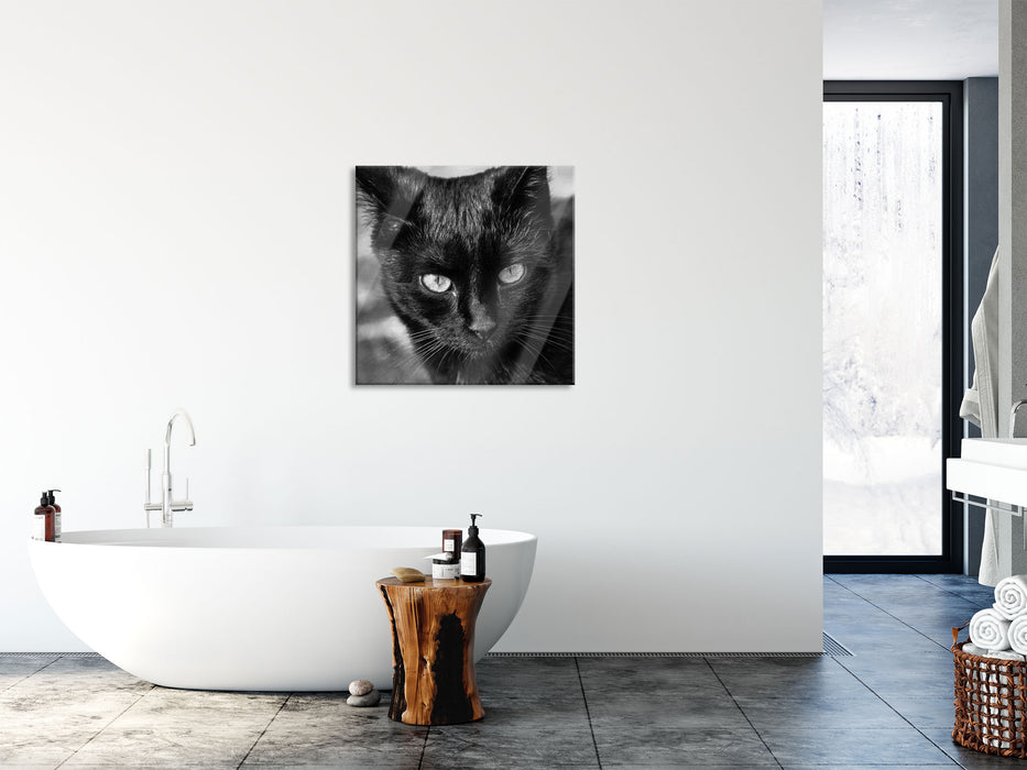 schwarze Katze, Glasbild Quadratisch