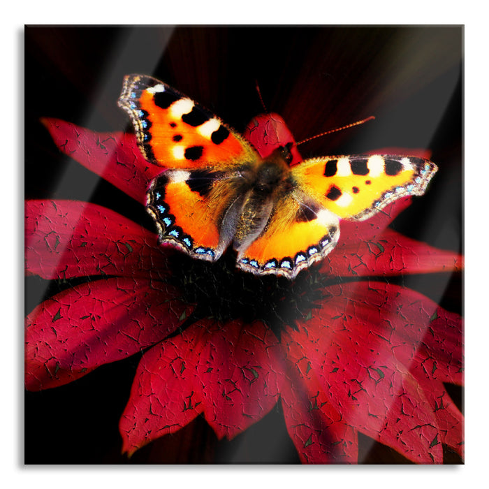 Schmetterling auf roter Blüte, Glasbild Quadratisch