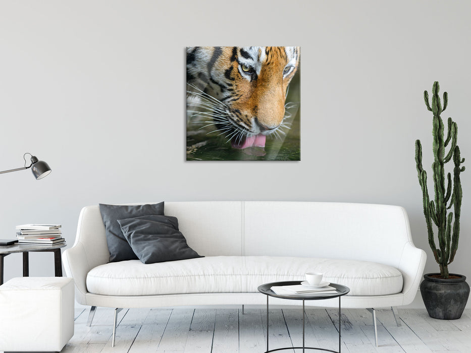 Tiger trinkt, Glasbild Quadratisch