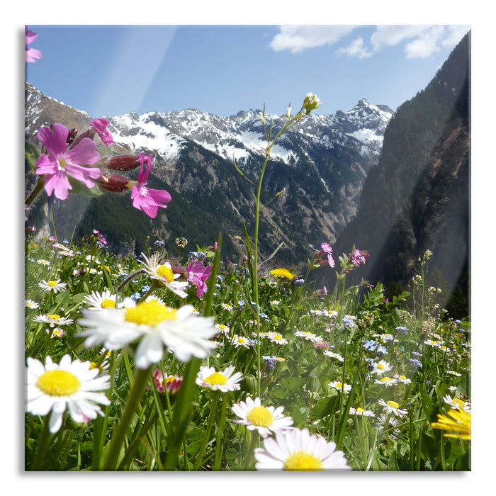 Pixxprint Wunderschöne Blumen Alpenwiese, Glasbild Quadratisch