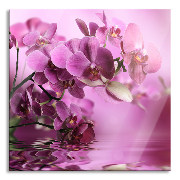 Pixxprint Wunderschöne Orchideenblüten, Glasbild Quadratisch