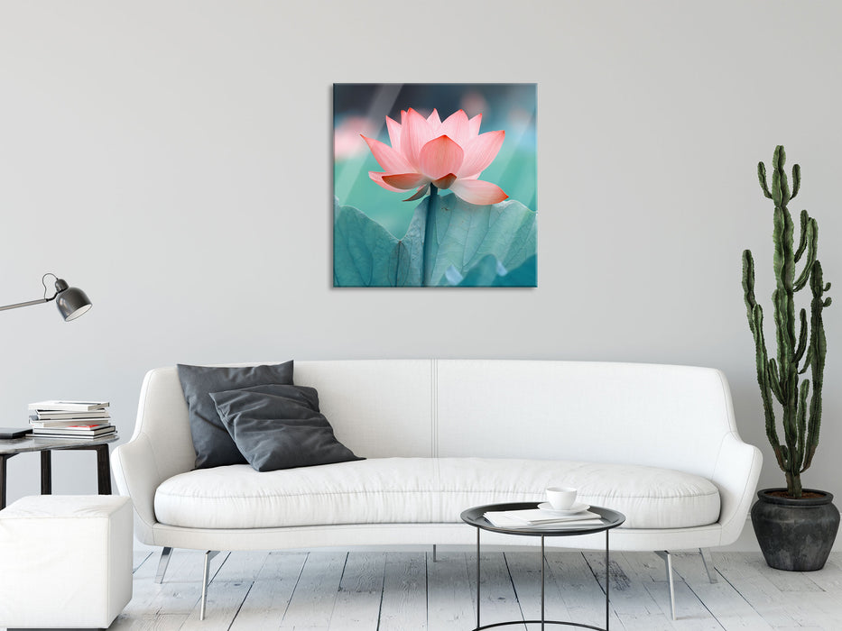 Zarte rosafarbener Lotus, Glasbild Quadratisch