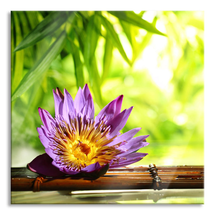 Pixxprint Seerose auf Bambus Wellness, Glasbild Quadratisch