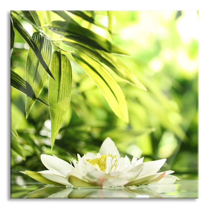 Pixxprint Weiße Seerose im Wasser Wellness, Glasbild Quadratisch