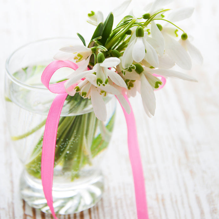 Schneeglöckchen mit rosa Band, Glasbild Quadratisch