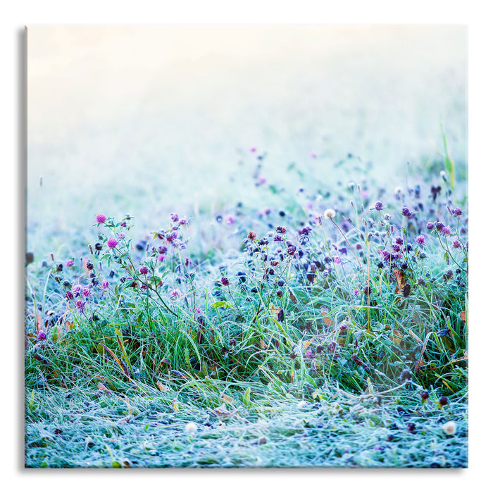 Lila Distel Feld im Retro Look, Glasbild Quadratisch