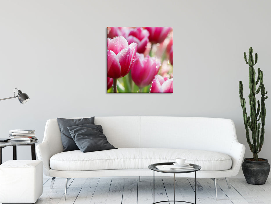 Tulpen mit Morgentau, Glasbild Quadratisch