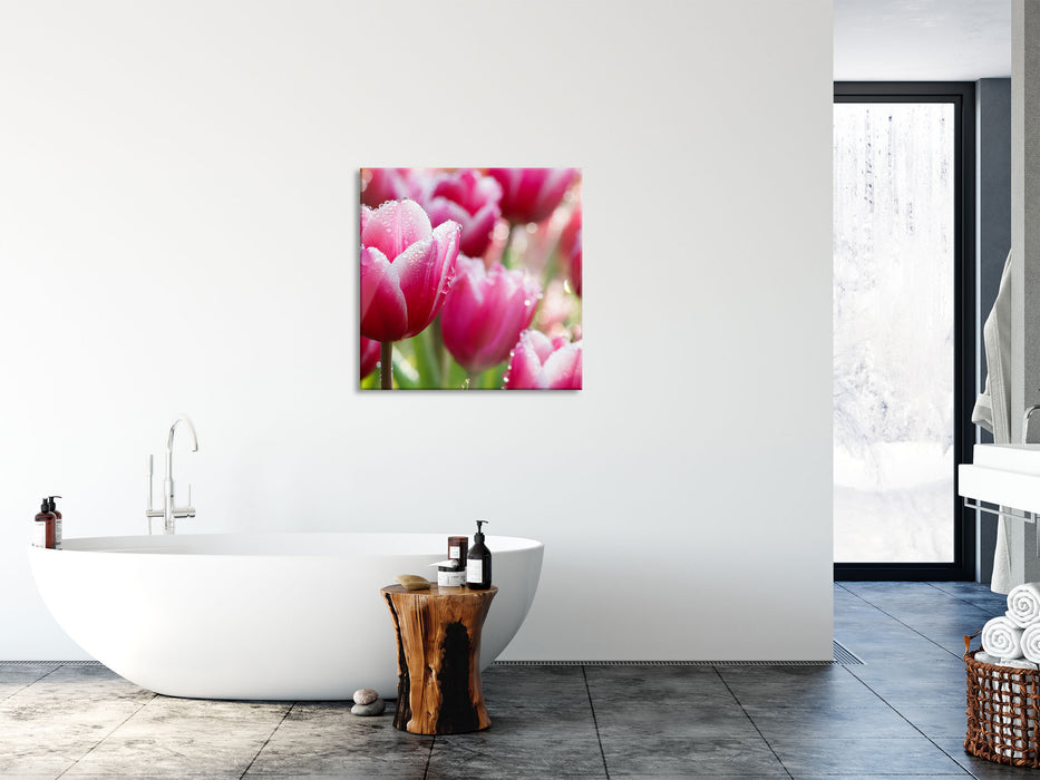 Tulpen mit Morgentau, Glasbild Quadratisch