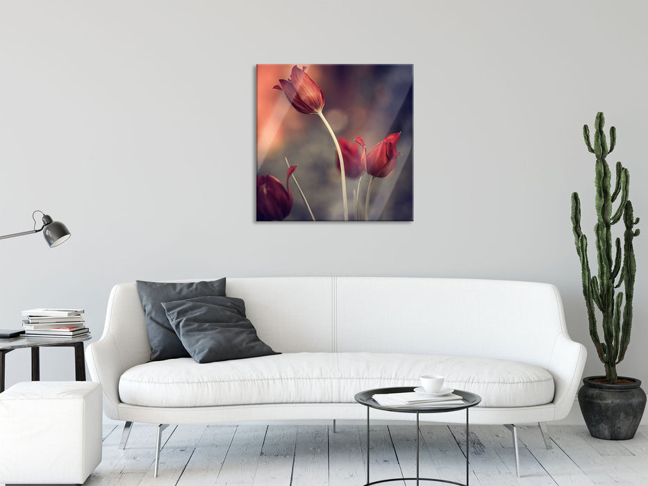 Tulpen im Abendlicht, Glasbild Quadratisch