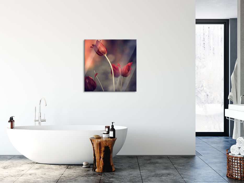 Tulpen im Abendlicht, Glasbild Quadratisch