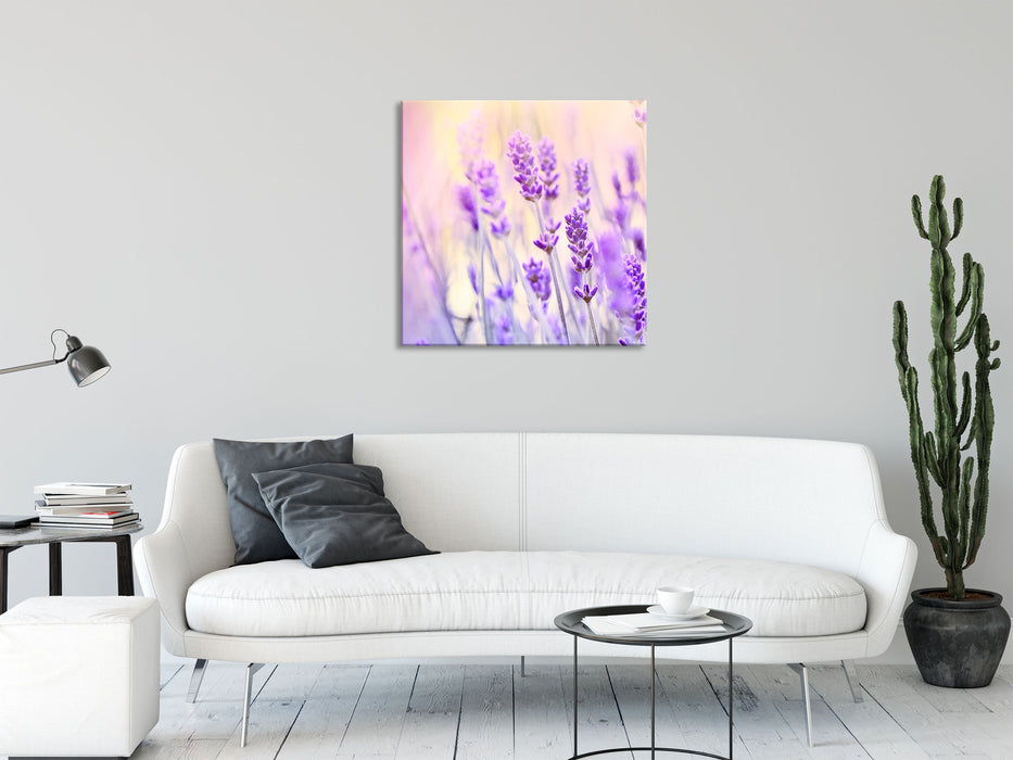 Lavendel im Retro Look, Glasbild Quadratisch