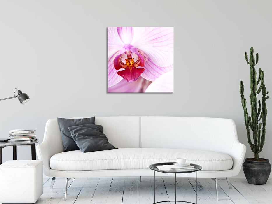 Prächtige Rosa Orchidee, Glasbild Quadratisch