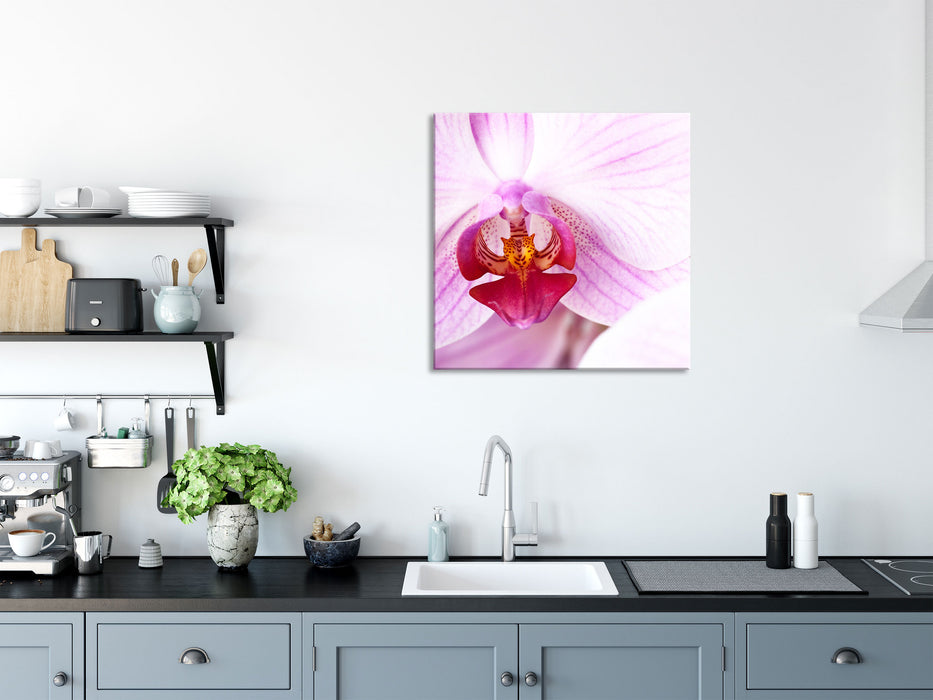 Prächtige Rosa Orchidee, Glasbild Quadratisch