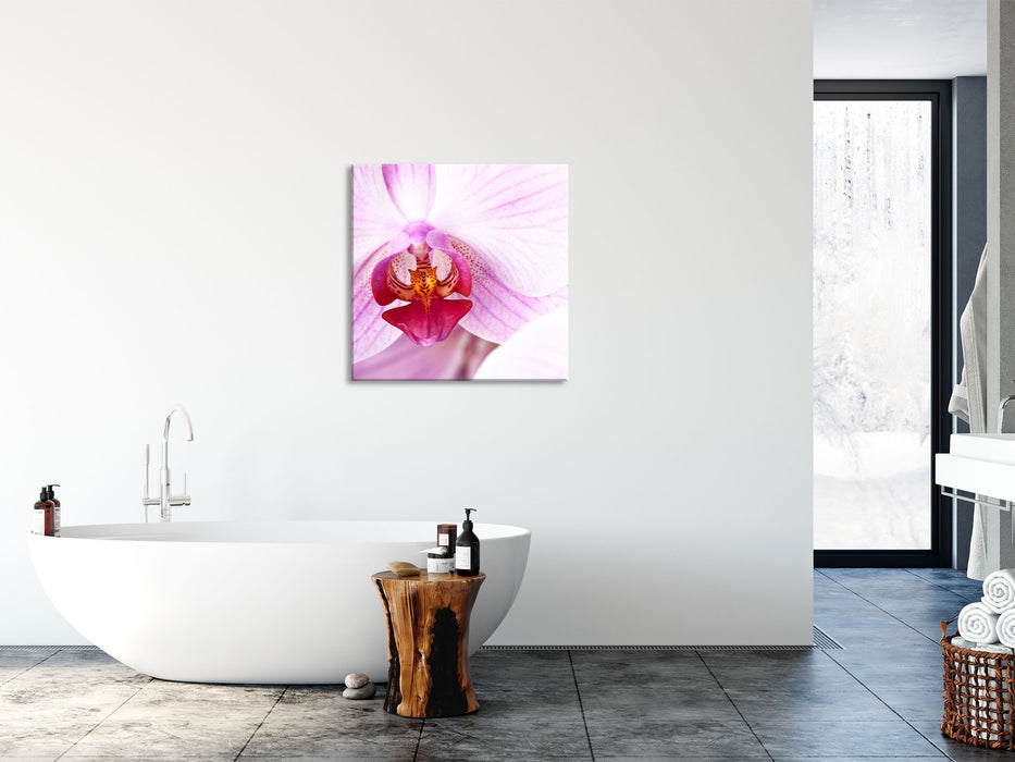 Prächtige Rosa Orchidee, Glasbild Quadratisch