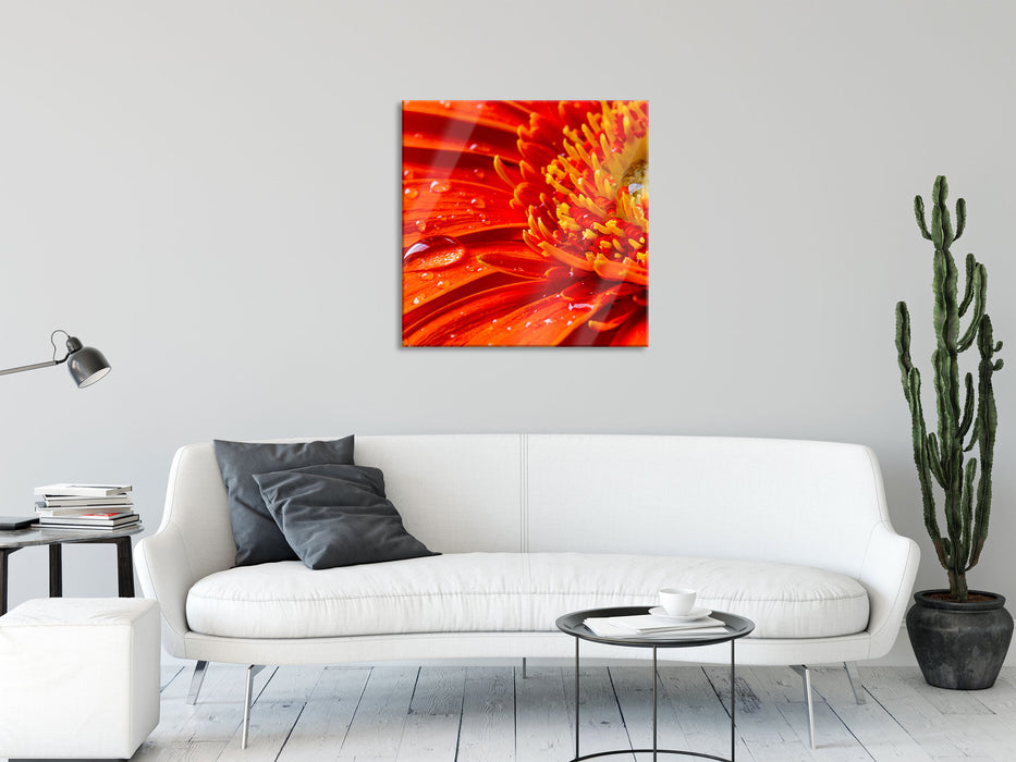 Gerbera mit Wassertropfen, Glasbild Quadratisch