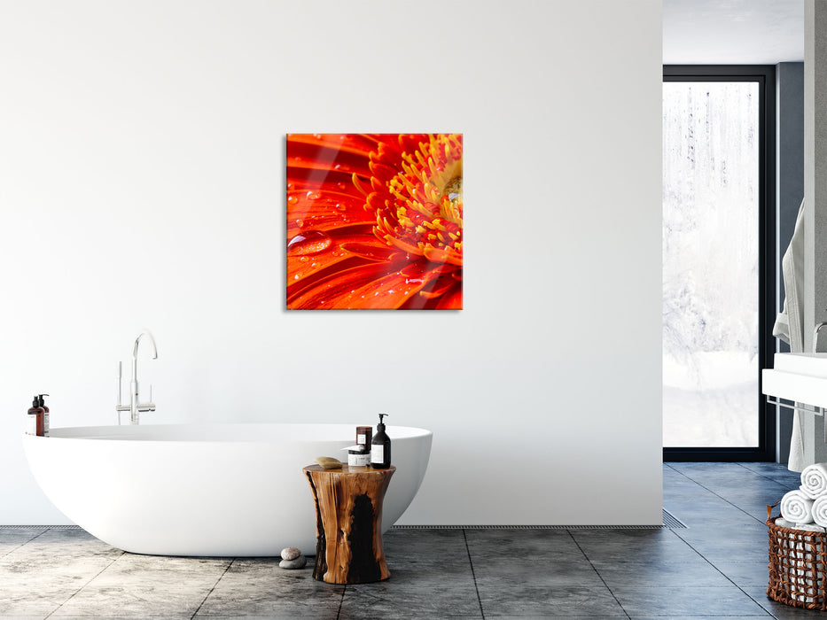 Gerbera mit Wassertropfen, Glasbild Quadratisch