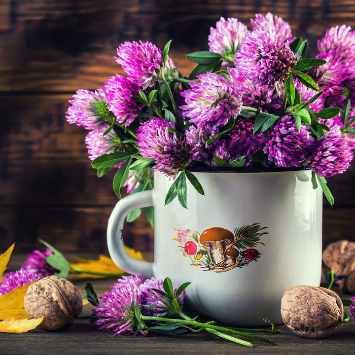 Kleeblüten in Blechtopf, Glasbild Quadratisch