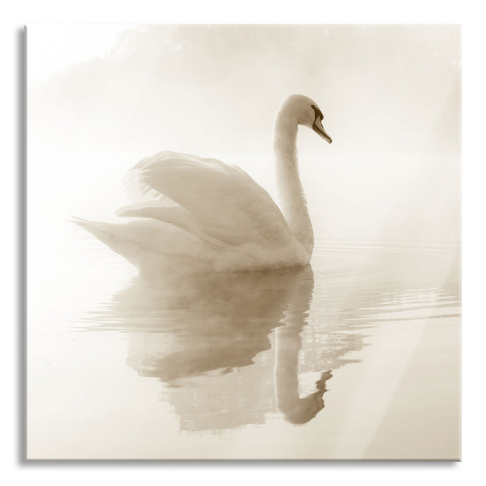 Schwan im Morgennebel, Glasbild Quadratisch