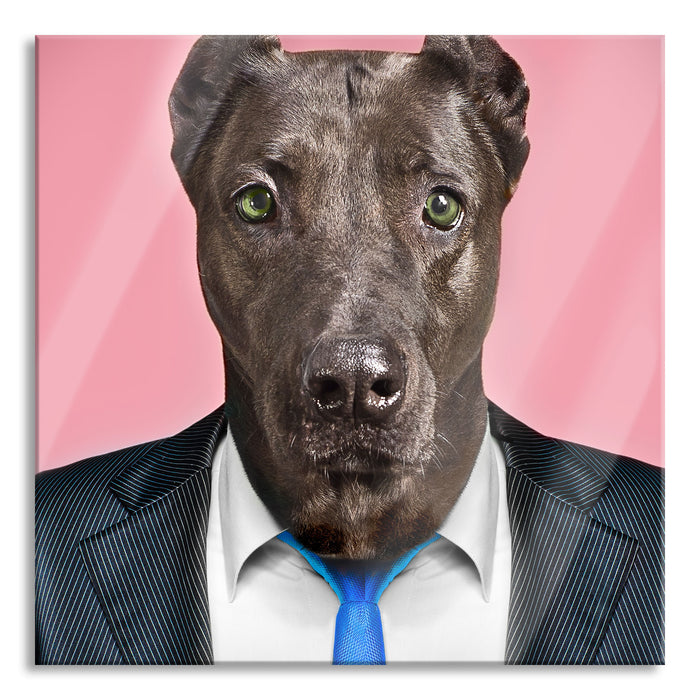 Pixxprint Manager Hund mit Anzug, Glasbild Quadratisch