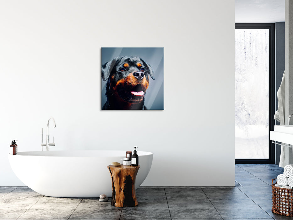 Treuer Rottweiler, Glasbild Quadratisch