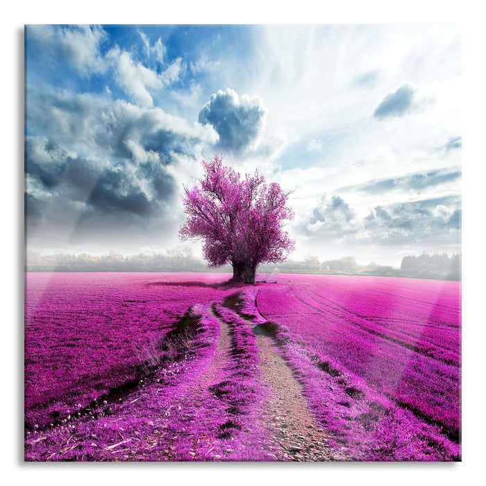 Pinkes Feld mit pinkem Baum, Glasbild Quadratisch