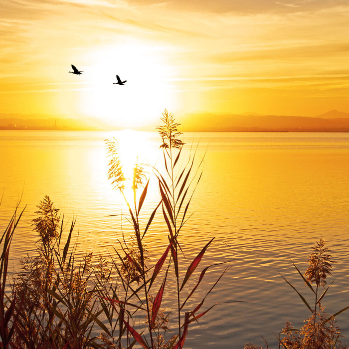 Sonnenuntergang am See, Glasbild Quadratisch