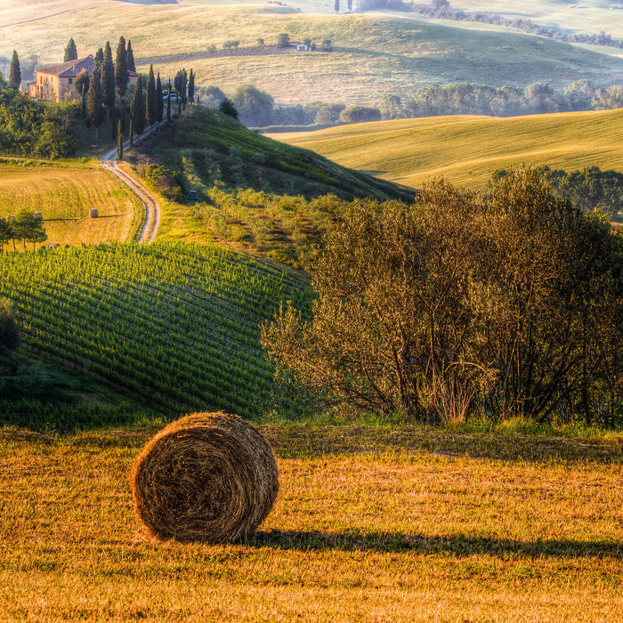 Italienische Toskana Landschaft, Glasbild Quadratisch