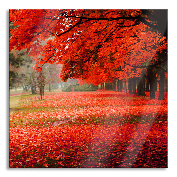 Rot gefärbter Park im Herbst, Glasbild Quadratisch