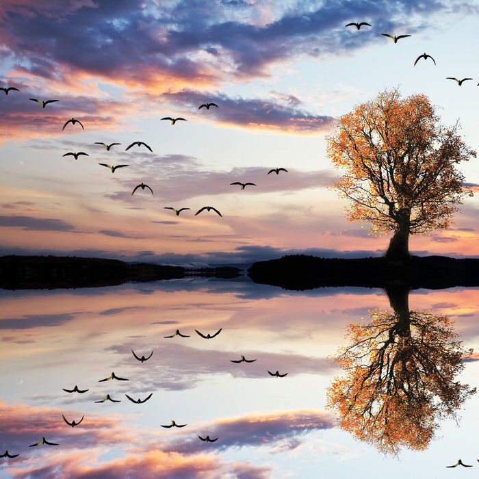 Baum spiegelt sich im Wasser, Glasbild Quadratisch