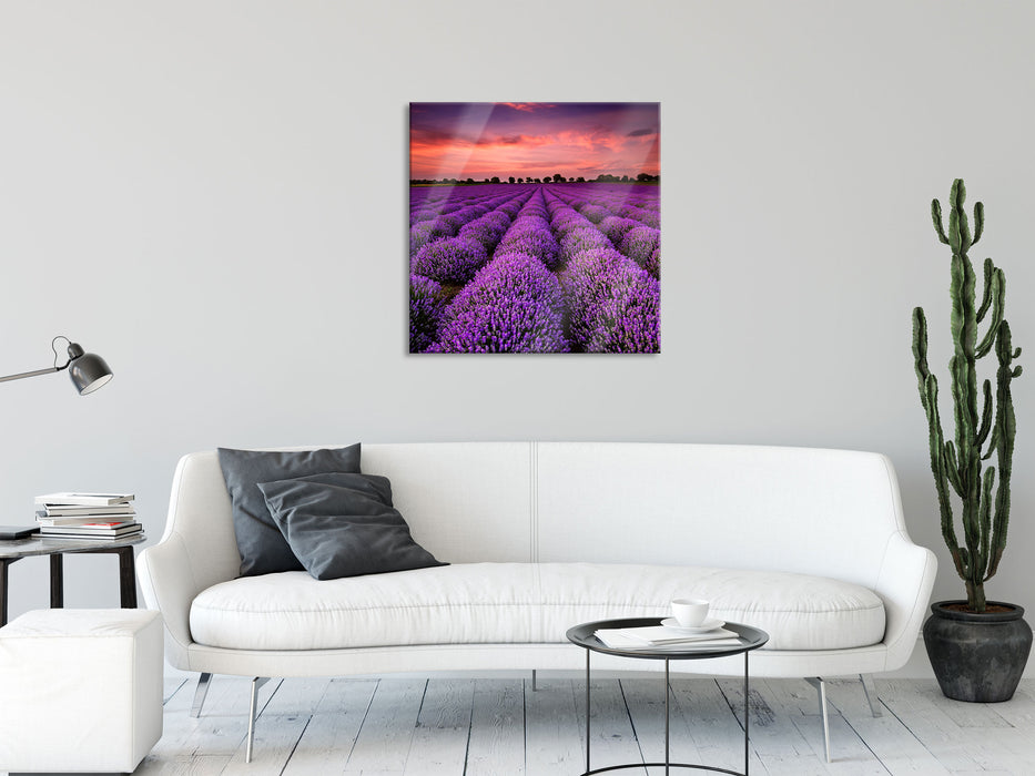 Wunderschöne Lavendel Provence, Glasbild Quadratisch