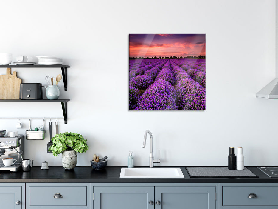 Wunderschöne Lavendel Provence, Glasbild Quadratisch