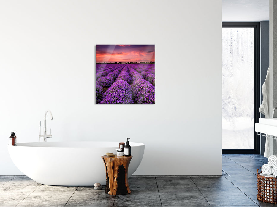 Wunderschöne Lavendel Provence, Glasbild Quadratisch