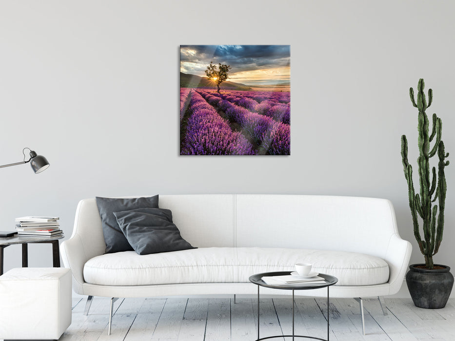 Lavendel Provence mit Baum, Glasbild Quadratisch