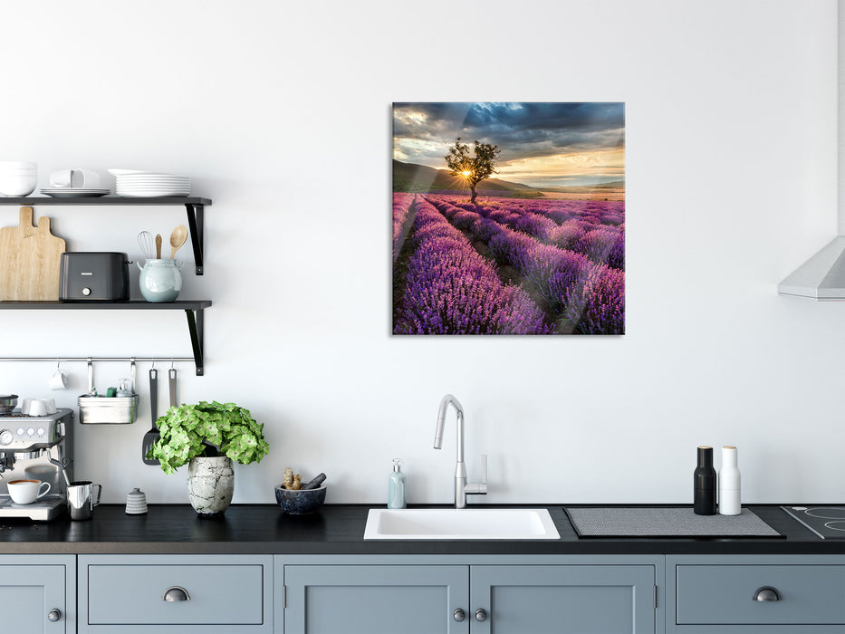 Lavendel Provence mit Baum, Glasbild Quadratisch