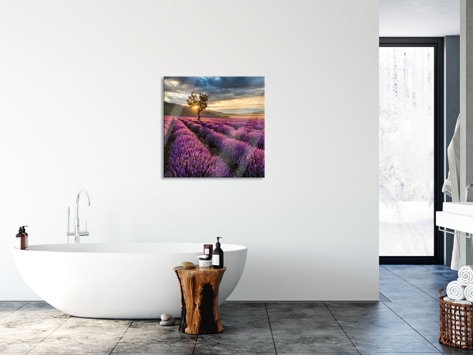 Lavendel Provence mit Baum, Glasbild Quadratisch