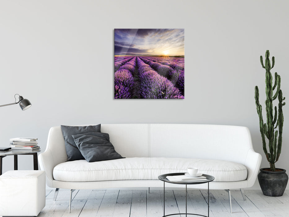 Traumhafte Lavendel Provence, Glasbild Quadratisch