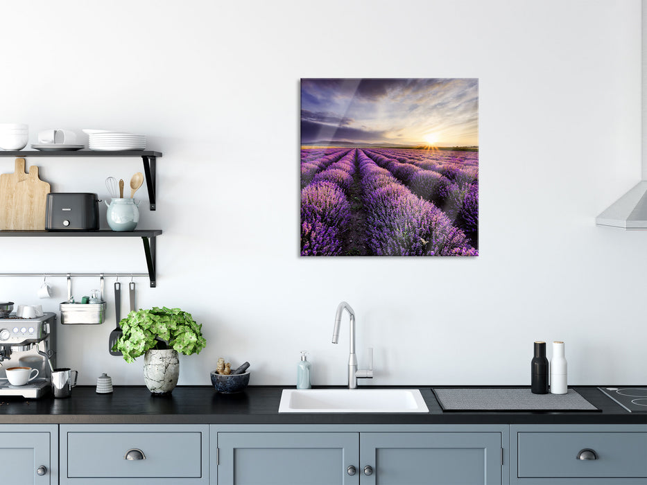 Traumhafte Lavendel Provence, Glasbild Quadratisch