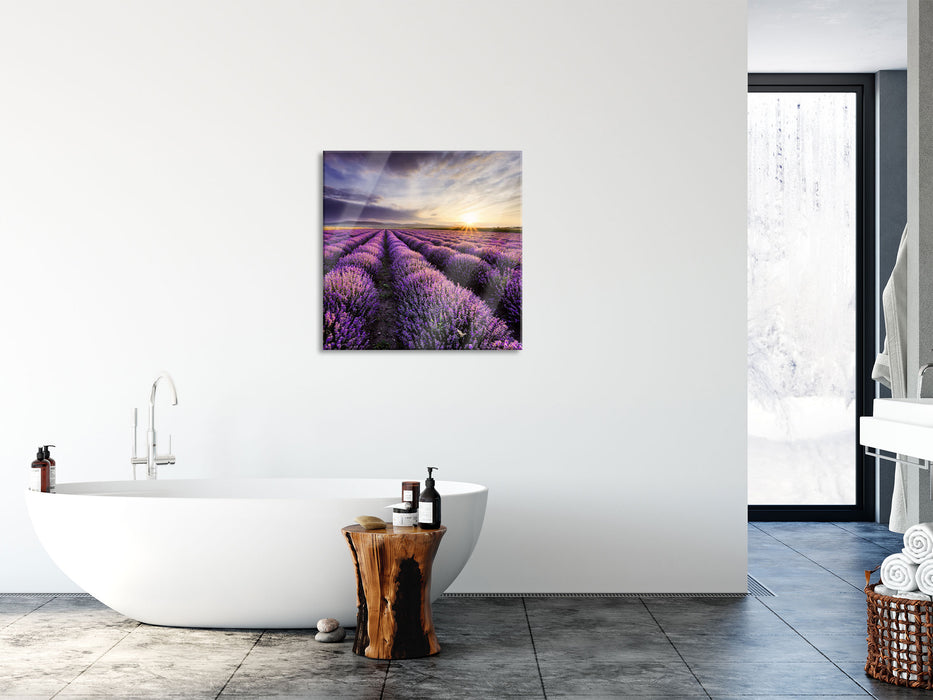 Traumhafte Lavendel Provence, Glasbild Quadratisch