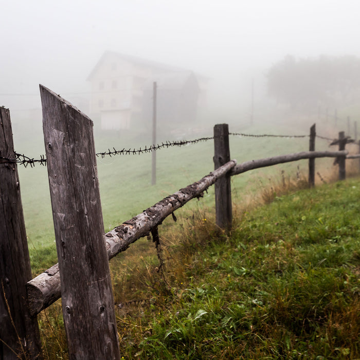 Holzzaun auf Wiese, Glasbild Quadratisch