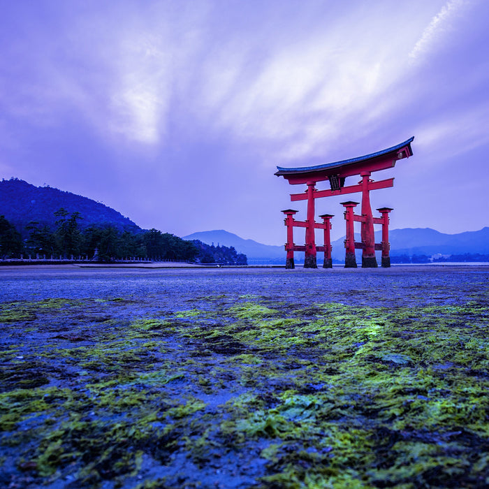 Torii in Hiroshima Japan, Glasbild Quadratisch